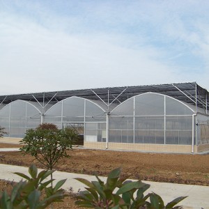 China Wholesale Thermal Insulation Greenhouse Pricelist - Thin Film Greenhouse – Lantian