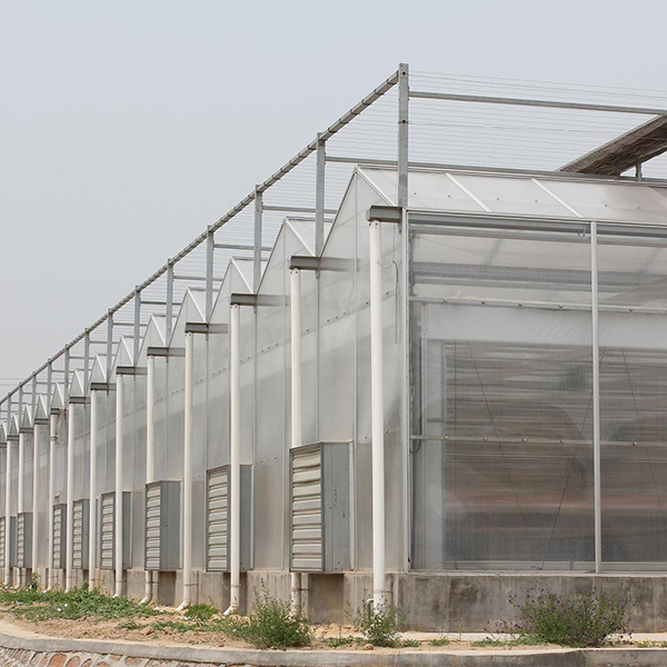 Polycarbonate Panel Greenhouse Featured Image