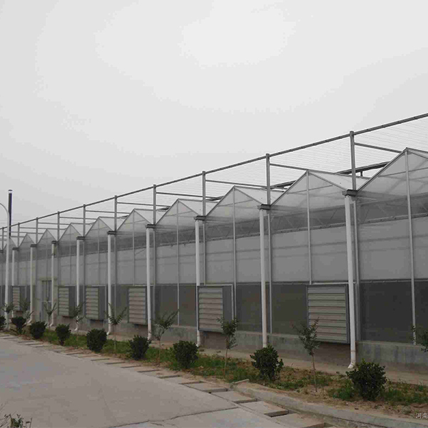 Polycarbonate Panel Greenhouse