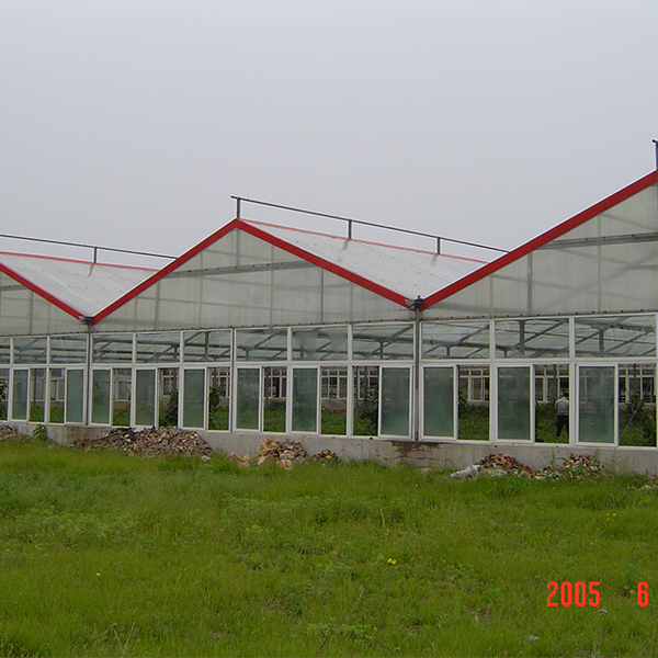 Polycarbonate Panel Greenhouse