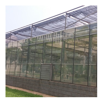 Smart Glass Multi-Span Greenhouse ltblws06