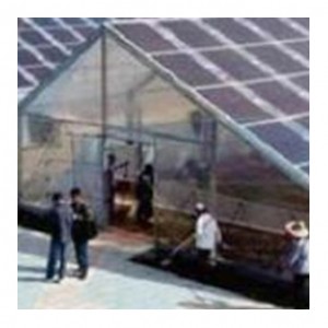 Solar-energy Greenhouse lttynws