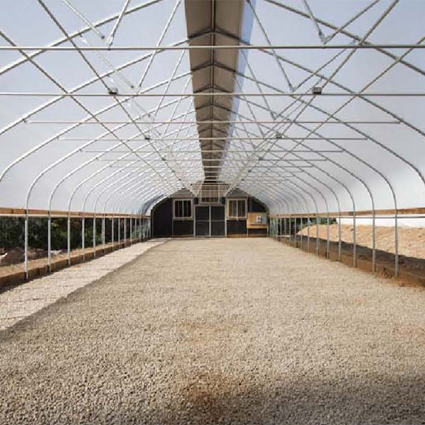 Cannabis cultivation greenhouse