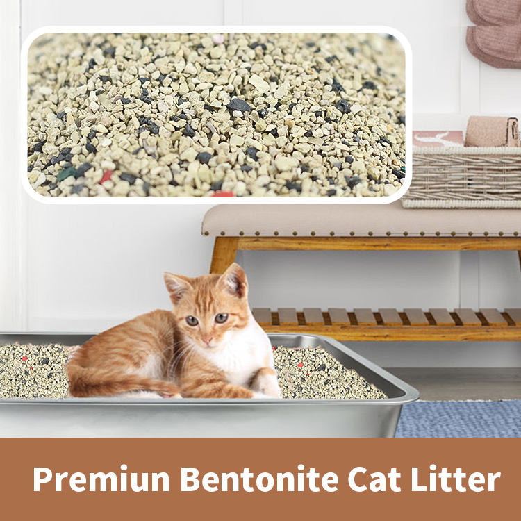 Premium bentonite cat litter (1)