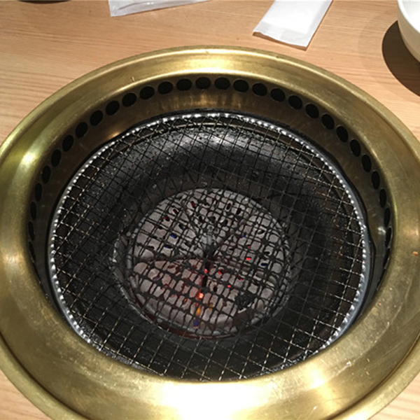 Charcoal Grill Mesh