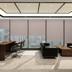 China Factory Blackout Roller Blinds Fabric