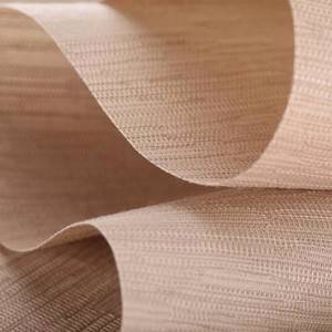 Inkcazo ephezulu China PVC Coated Textilene Sun Screen Teslin Curtain Mesh Roller Fabric Fabric