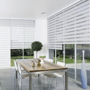 Roller Blinds Zebra Fabric Double Layer Sun Shades For Window Decor