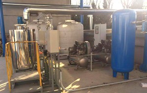 Treatment of waste gas from anaerobic biogas power generation