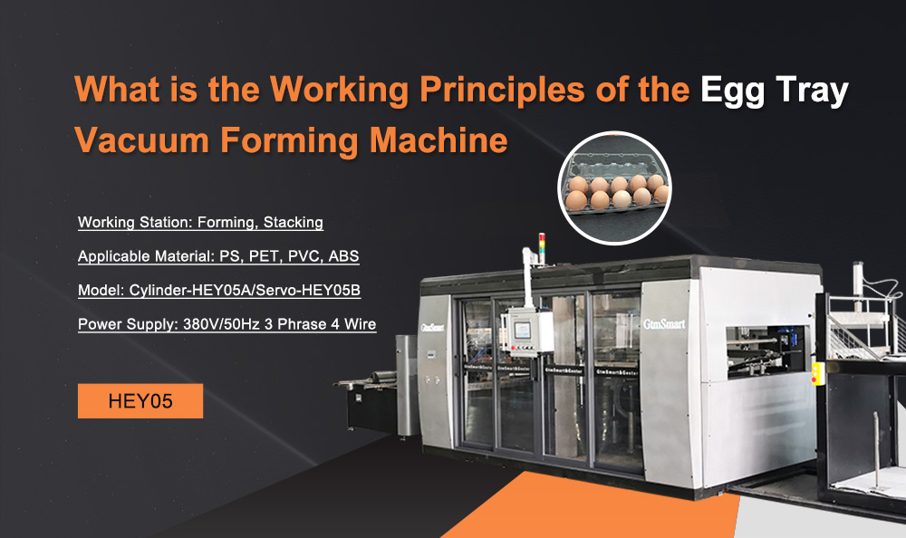 What is the Working Principles of the Egg Tray Vacuum Forming Machine