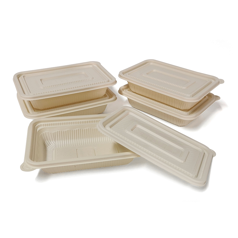 PLA biodégradables plastik jetab Takeaway Square Lunch Box