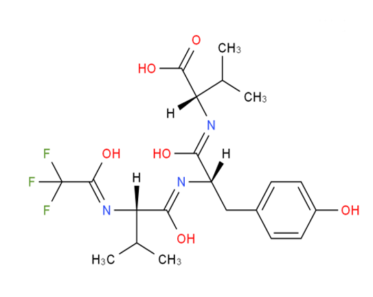 के trifluoroacetyl tripeptide-2 ले उमेर ढिलो गर्न सक्छ?
