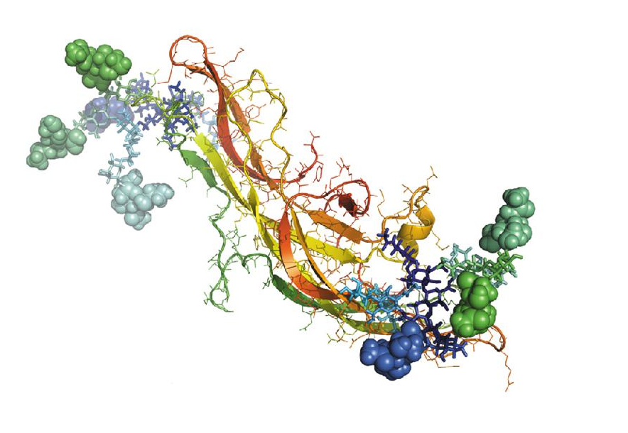 Kat karakteristik nan peptides antimikwòb