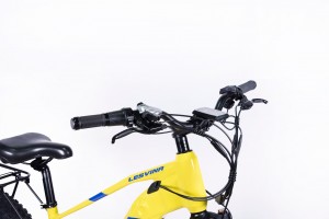 GD-EMB036: 26″ Electric Snow Bike with 48V750W