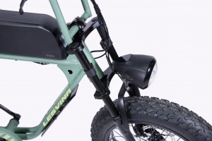 GD-EMB035:26″ Electric Mountain Bicycle with 48V500W