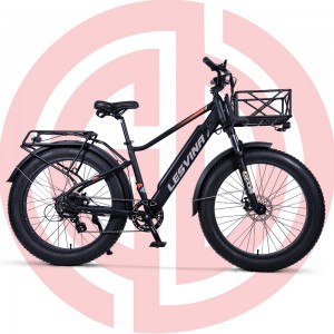 GD-EMB034:26″ Electric Snow Bicycle with 48V750W