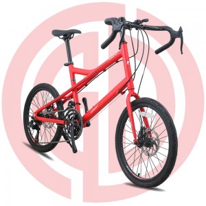 GD-RDB-001：Road bicycle, alloy frame 20”, steel stem, disc brake, SHIMANO, KENDA