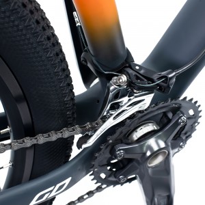 GD-MTB-087: 29 Inch Carbon Fiber Mountain Bicycle with 22 Speed
