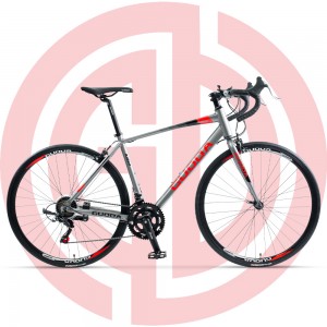 GD-RDB017：700C Al Alloy Road Bicycle with Clamp-on Brake
