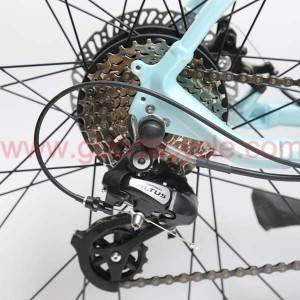 GD-EMB-009： Electric Mountain Bicycle, 36v, 29 Inch, mechine disc brakes, wattage: 200 – 250w