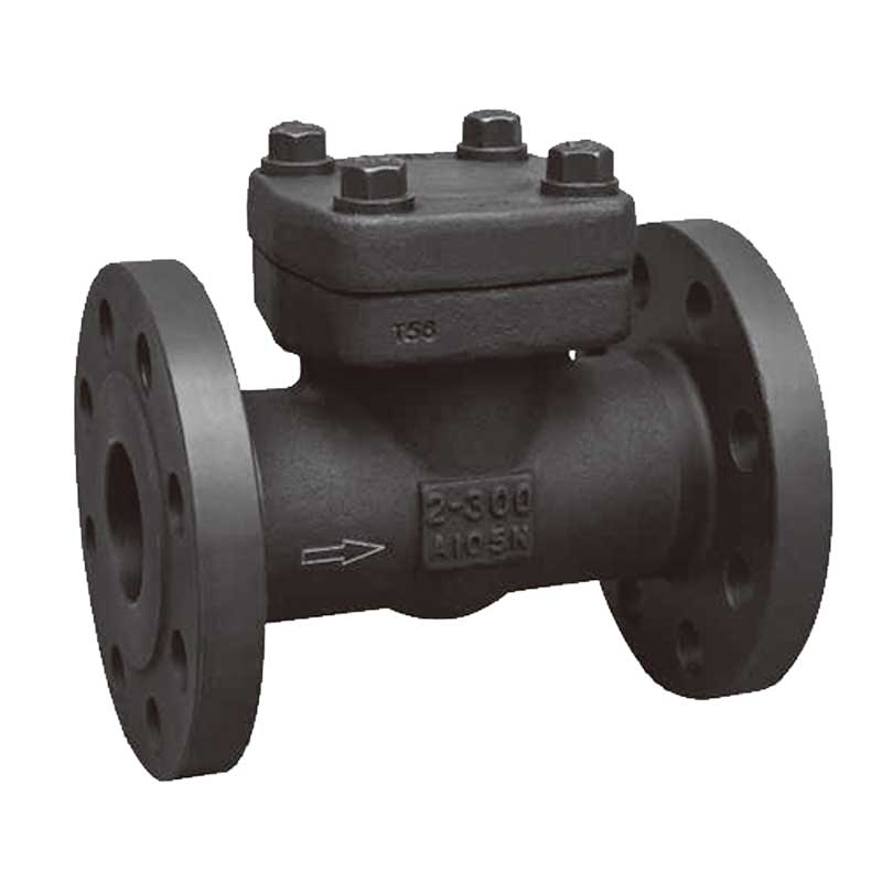 API 602 Forged Check Valve Featured Image