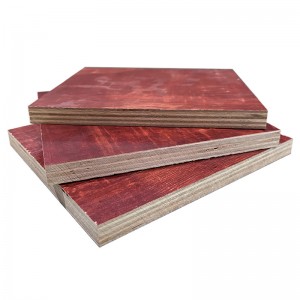 Popular Design for Sealing Particle Board - Phenolic Red Film Faced Plywood For Construction – Xinhan