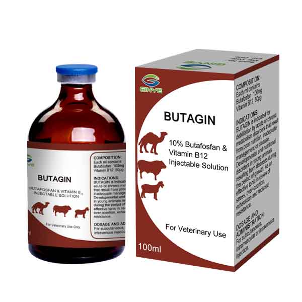 New Arrival China Essential Supplement For Farm Animals - compound butafosfan injection 100 ml for animals – Ginye