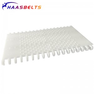HAASBELTS Conveyor Flat Top 800 Fa'asologa Plastic Modular fusi