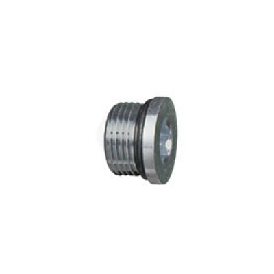6409-Hex Socket O-Ring Bulla Plug