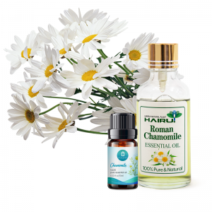 Natural aromatherapy roman chamomile oil relieve pain