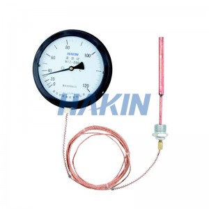 Pressure Thermometer with Capillary Tube