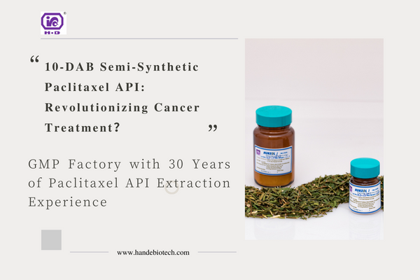 10-DAB Semi-Synthetic Paclitaxel API: Revolutionizing Cancer Treatment?
