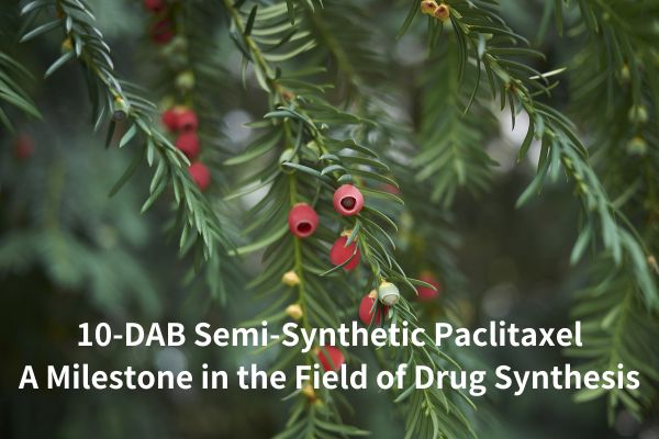 10-DAB semisyntetisk paklitaxel: en milstolpe inom området för läkemedelssyntes
