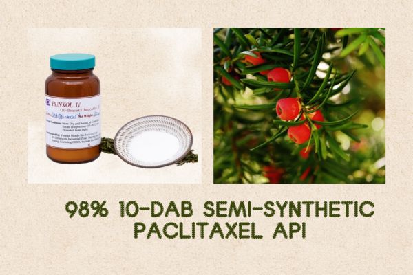98% 10-Даб жарым синтетикалык Paclitaxel Api