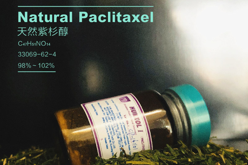 Antitumor Pharmaceutiucal Materials Natural Paclitaxel with FDA CEP GMP certificates