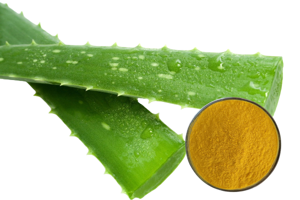 100% Natural Organic Aloe Vera Poda Aloin CAS 1415-73-2 Dondoo ya Aloe Vera