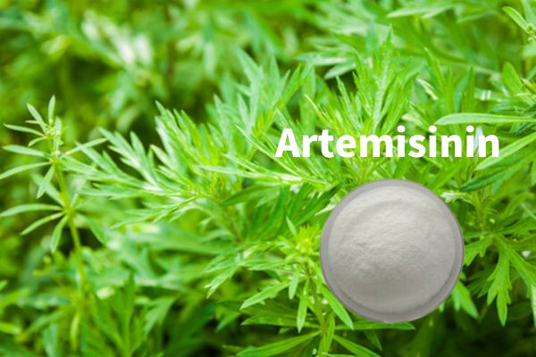 Դեղագործական դասի Artemisinin CAS 63968-64-9