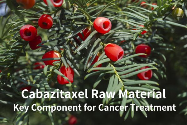 Сировина кабазитаксела: кључна компонента за лечење рака