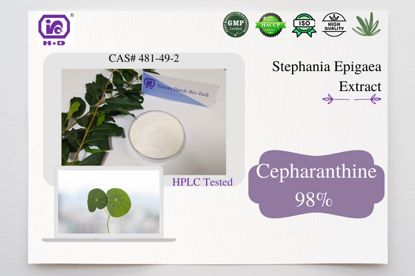 Cepharanthine 98% CAS 481-49-2 Amhábhair cógaisíochta