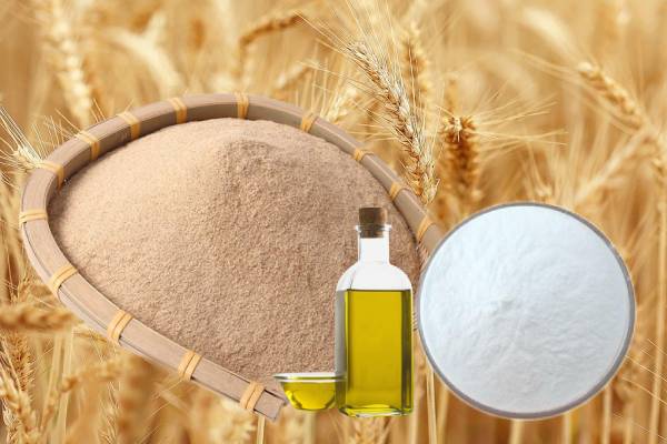 سرامید 1% 3% CAS104404-17-3 عصاره روغن سبوس برنج مواد اولیه آرایشی و بهداشتی طبیعی