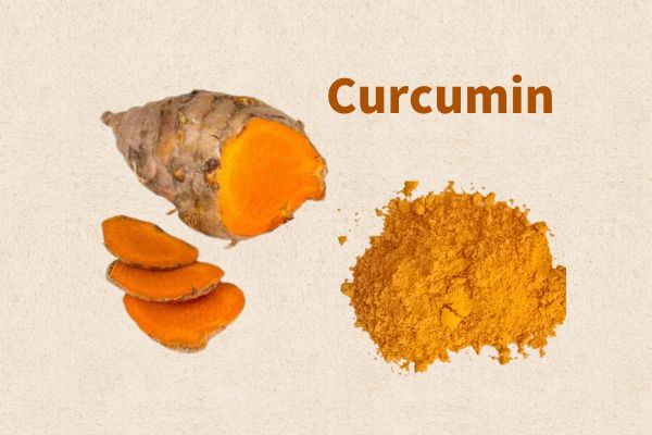 Food Grade Turmeric Root Extract 10% 95% Curcumin Powder
