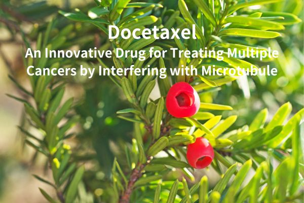 Доцетаксел: інноваційний препарат для лікування кількох видів раку шляхом впливу на мікротрубочки
