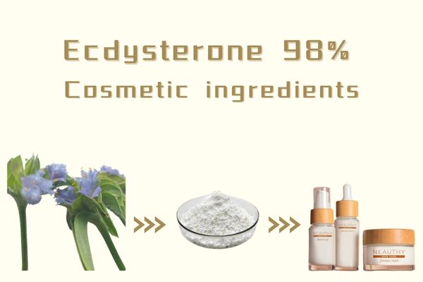 Ecdysterone 98٪ کاسمیٹڪ اجزاء