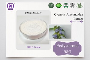 Ecdysterone Beta Ecdysterone 20-Hydroxyecdysone Cyanotis arachnoidea ekstrakt