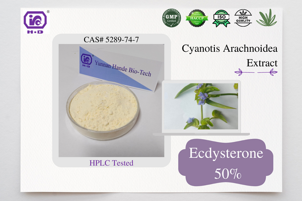 Ecdysone Extract Raw Powder 20-Hydroxyecdysone Powder HPLC 80%–98% CAS 5289-74-7