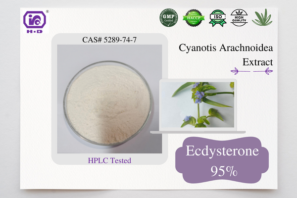 Qualityokary hilli Beta Ekdisteron Poroşok CAS 5289-74-7 40% ~ 98% HPLC 90% ~ 95% UV