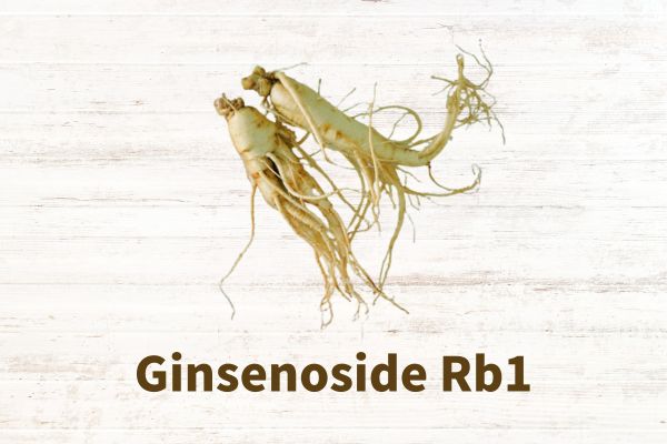 Зӯроварии завод Ginsenoside Rb1 Cas Cas 41753-43-9