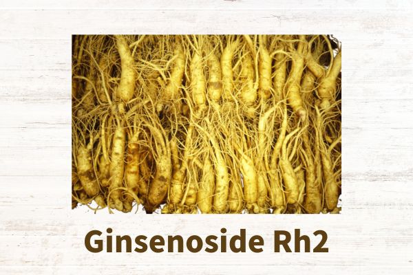 Ginsenoside Rh2 de primera qualitat CAS 78214-33-2