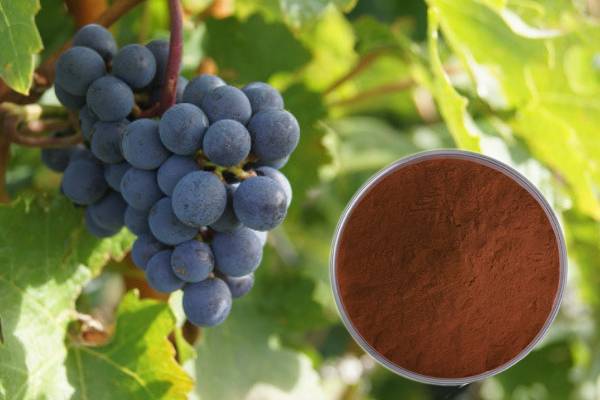 Vynuogių sėklų proantocianidinai Vynuogių sėklų ekstraktas Kosmetikos žaliavos