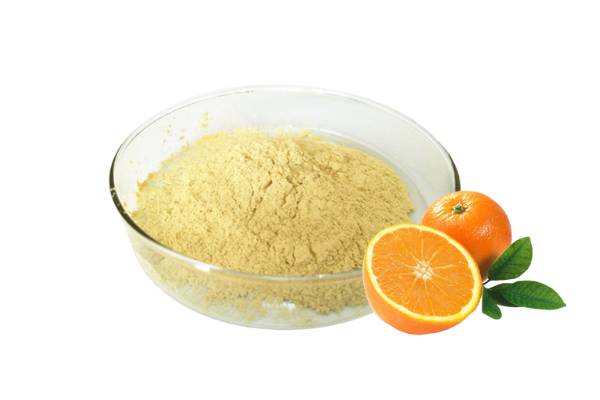 Natural Orange Peel Extract Powder Hesperidin CAS 520-26-3